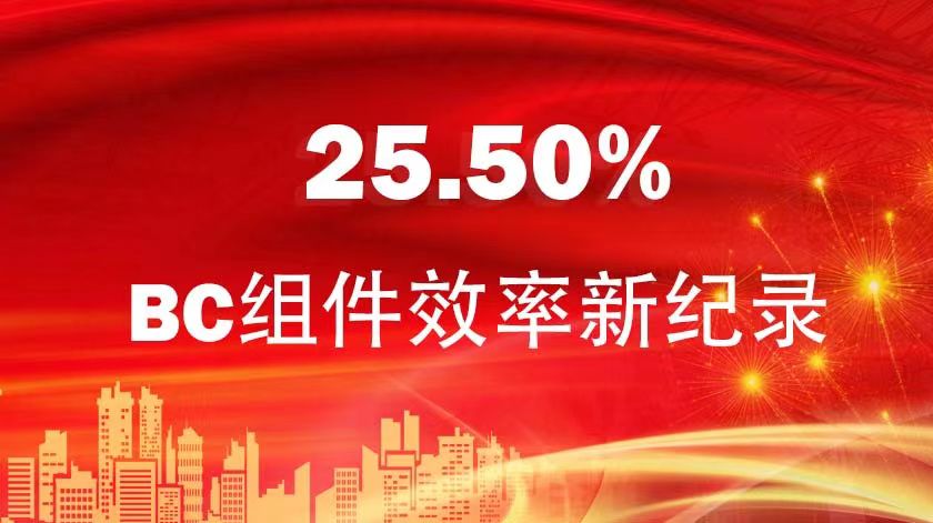 BC組件效率25.50%！金石能源混合型BC組件再創(chuàng)新紀(jì)錄